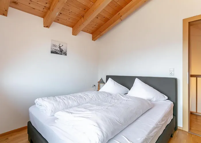 Dubbel Dik Hout Hippach